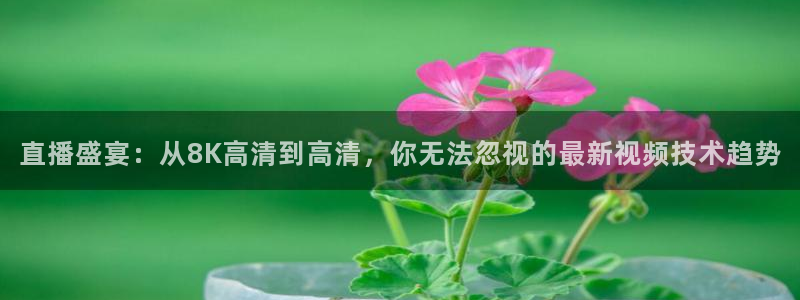 直播盛宴：从8K高清到高清，你无法忽视的最新视频技术趋势