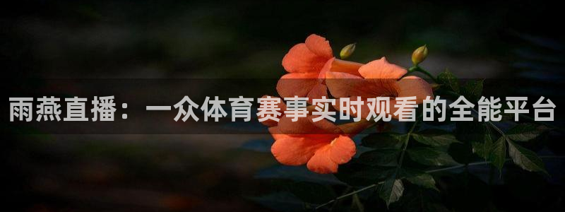 雨燕直播：一众体育赛事实时观看的全能平台