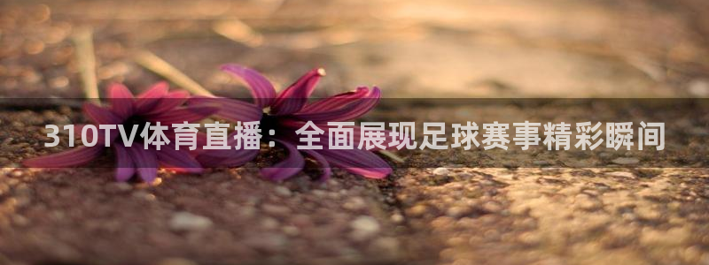 310TV体育直播：全面展现足球赛事精彩瞬间