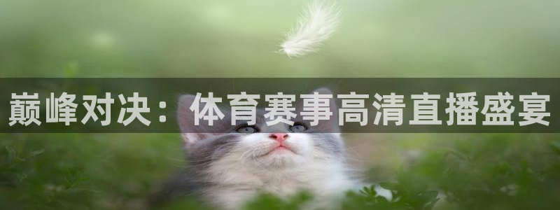 巅峰对决：体育赛事高清直播盛宴