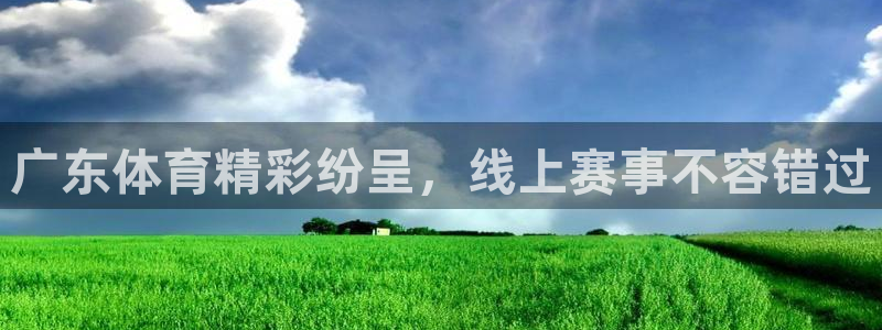广东体育精彩纷呈，线上赛事不容错过
