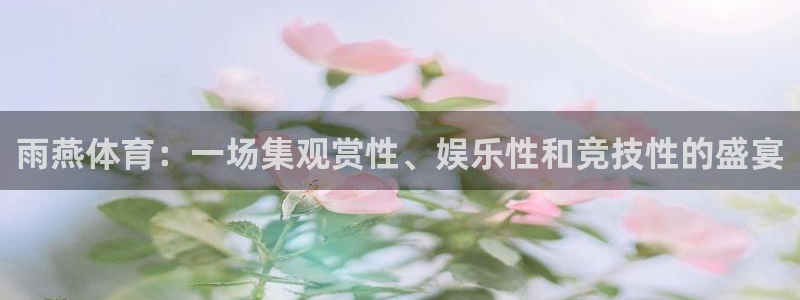 雨燕体育：一场集观赏性、娱乐性和竞技性的盛宴