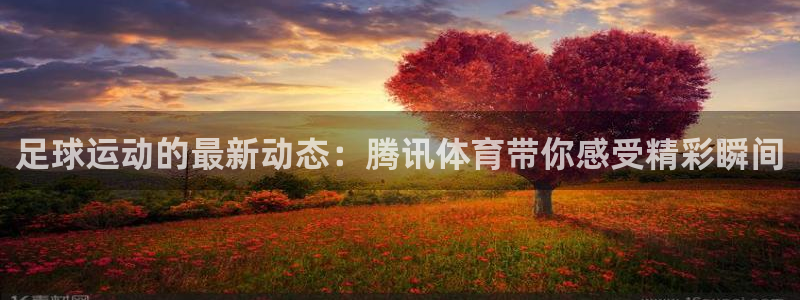 足球运动的最新动态：腾讯体育带你感受精彩瞬间