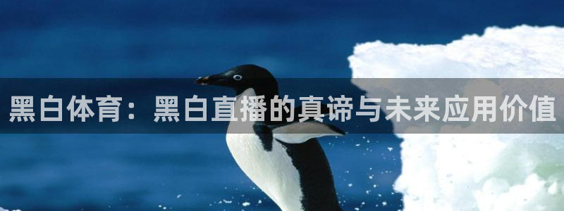 黑白体育：黑白直播的真谛与未来应用价值