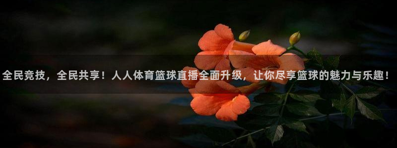 全民竞技，全民共享！人人体育篮球直播全面升级，让你尽享篮球的魅力与乐趣！