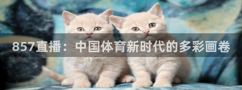 857直播：中国体育新时代的多彩画卷