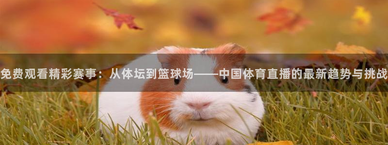 免费观看精彩赛事：从体坛到篮球场——中国体育直播的最新趋势与挑战