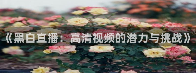 《黑白直播：高清视频的潜力与挑战》