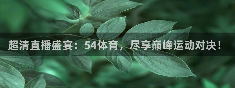 超清直播盛宴：54体育，尽享巅峰运动对决！
