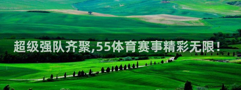 超级强队齐聚,55体育赛事精彩无限！