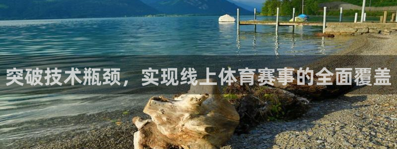 突破技术瓶颈，实现线上体育赛事的全面覆盖